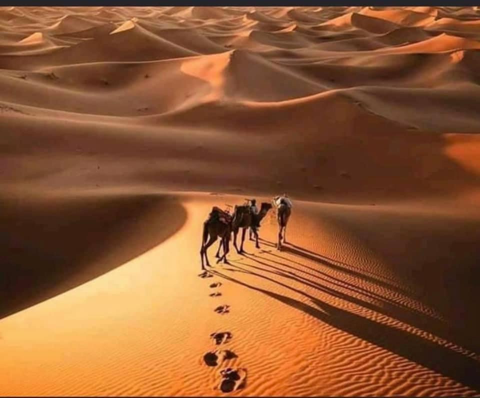 Camp Desert Bivouac Chegaga El Gouera Экстерьер фото