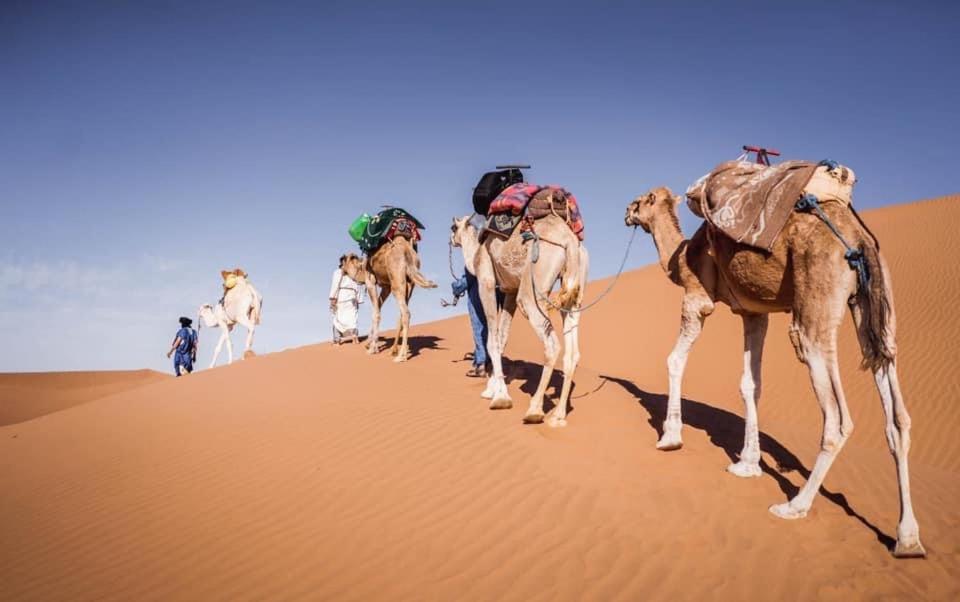 Camp Desert Bivouac Chegaga El Gouera Экстерьер фото