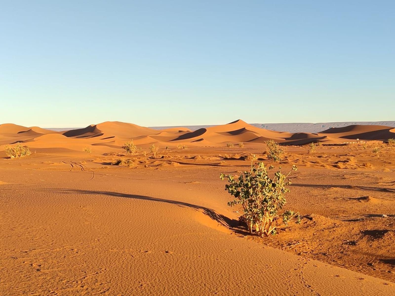 Camp Desert Bivouac Chegaga El Gouera Экстерьер фото