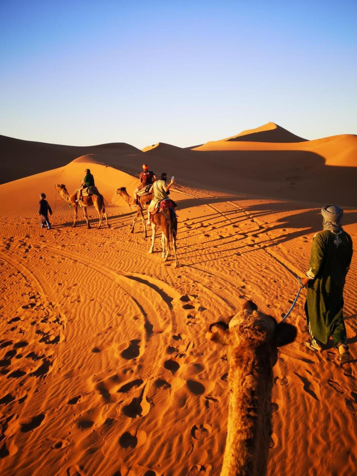 Camp Desert Bivouac Chegaga El Gouera Экстерьер фото