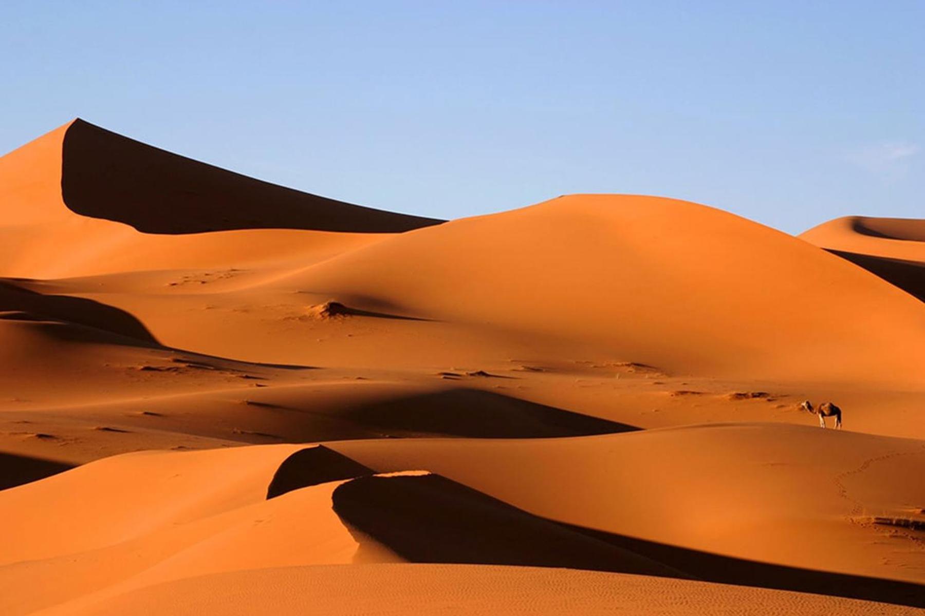 Camp Desert Bivouac Chegaga El Gouera Экстерьер фото